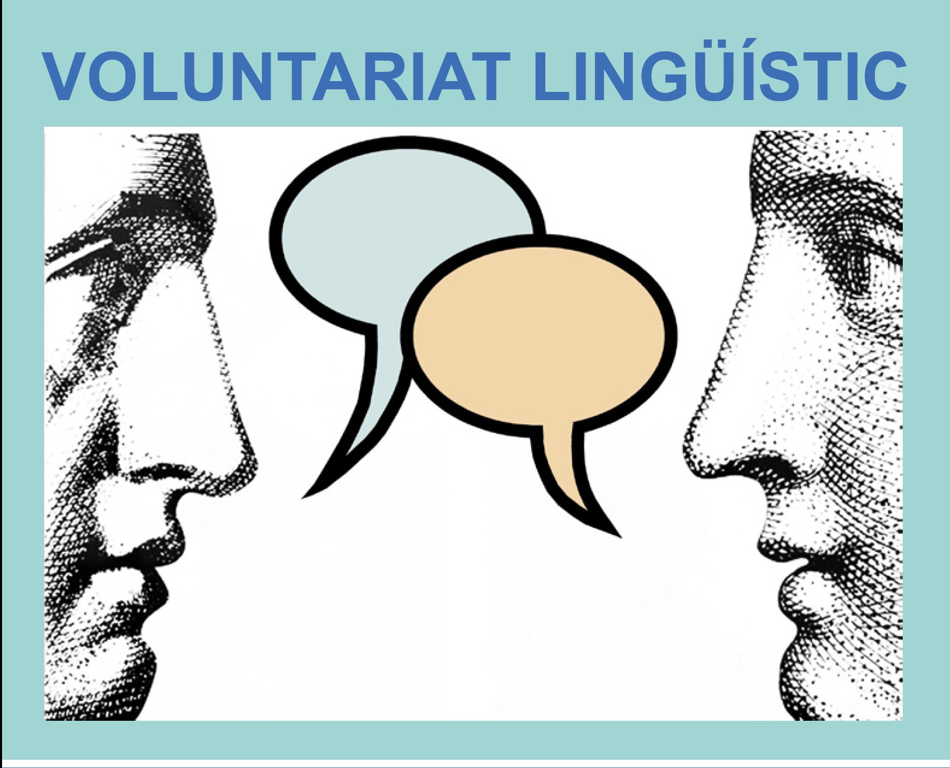 Cartell del Voluntariat lingüístic 2015